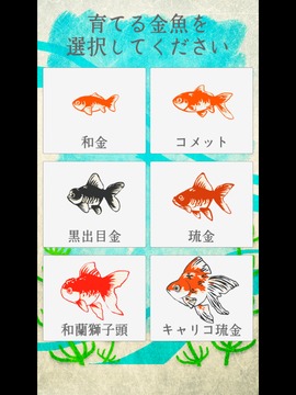 治愈系-金魚養(yǎng)成游戲截圖4