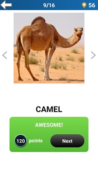 Scratch Animal Quiz游戲截圖2
