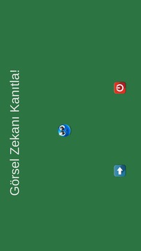G?rsel Zekan? Test Et游戲截圖4