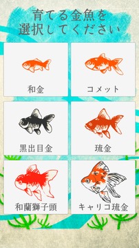 治愈系-金魚養(yǎng)成游戲截圖1