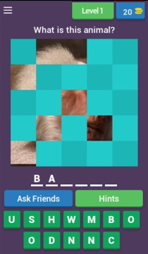 Reveal The Animal Quiz游戲截圖1