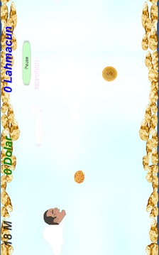 Dolar?n Fatihi游戲截圖1