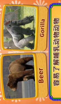 真正的哺乳動(dòng)物聲音游戲截圖1