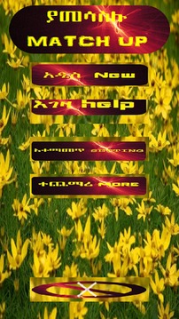 Amharic Kids Game游戲截圖2