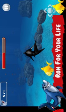 Hungry Shark Attack Simulation游戏截图5