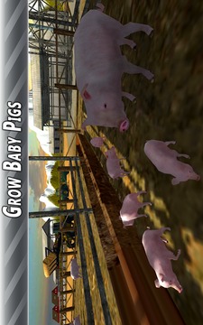 Euro Farm Simulator: Pigs游戲截圖3
