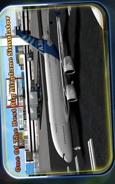 Big Airplane Flight Simulator游戏截图11