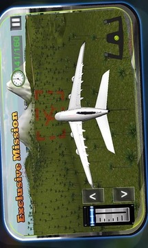 Big Airplane Flight Simulator游戏截图1