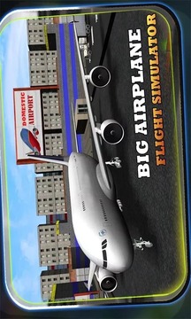 Big Airplane Flight Simulator游戏截图9