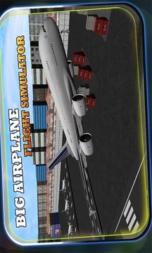 Big Airplane Flight Simulator游戏截图3