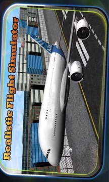 Big Airplane Flight Simulator游戏截图10
