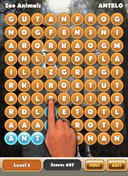 Word Search: Wolves游戲截圖5