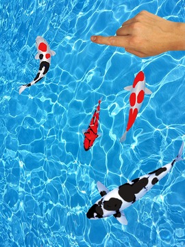 Koi Fishing Fingers Game游戲截圖4