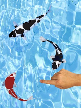 Koi Fishing Fingers Game游戲截圖2