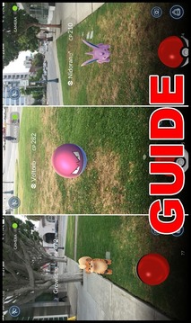 How to catch Pokemon | Guide游戲截圖2