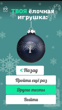 Тест на 2015 новый год游戲截圖2