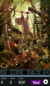 Hidden Object - Cats Island游戲截圖5