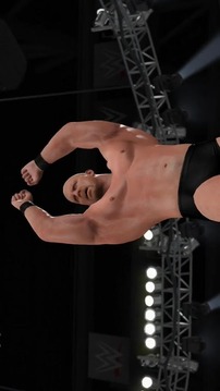 Wrestling WWE Fight Videos游戲截圖3