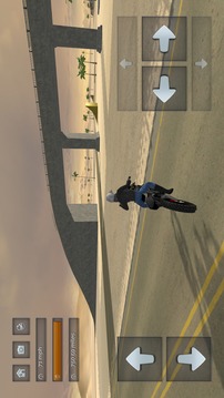 Bike Driving Simulator 3D游戏截图4
