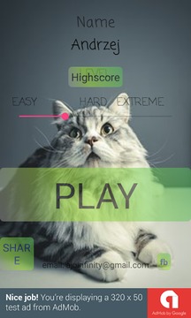 Cat Edition Math Training Game游戲截圖1