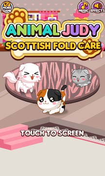 Animal Judy: ScottishFold care游戲截圖1