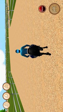 Horse Race游戲截圖3