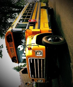 School Bus 3D游戲截圖4