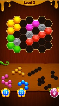 1010! Puzzle Crazy游戲截圖3