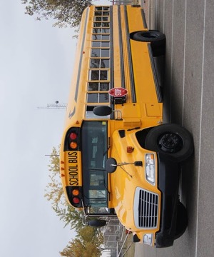 School Bus 3D游戲截圖5