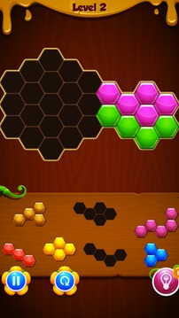 1010! Puzzle Crazy游戲截圖2