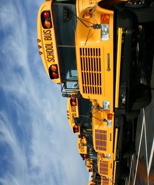 School Bus 3D游戲截圖3