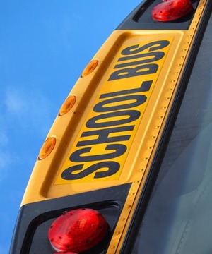 School Bus 3D游戲截圖2
