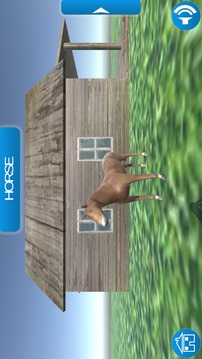 Learn Animal 3D游戲截圖2