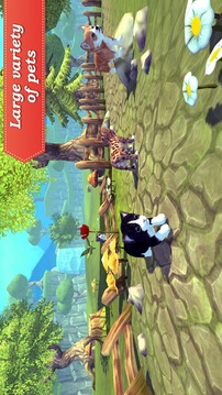 3D Pets in the maze游戲截圖2