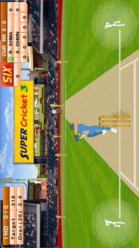 New Super Cricket 3游戲截圖4