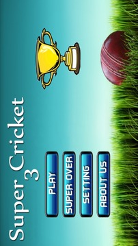 New Super Cricket 3游戲截圖1