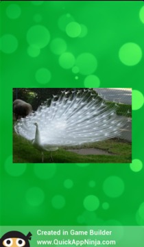 Guess The Animals游戲截圖1