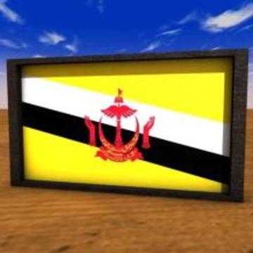 ADIVINA ESTE PAIS游戲截圖1