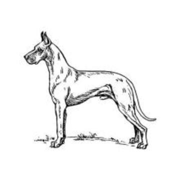 Drawing a Dog游戲截圖4