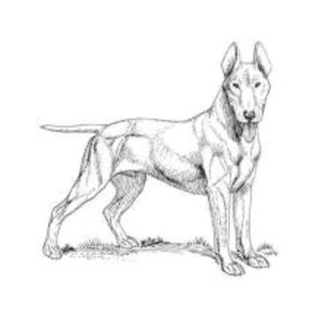 Drawing a Dog游戲截圖2