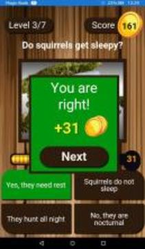 Squirrel Scratchers游戲截圖3