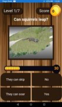 Squirrel Scratchers游戲截圖2