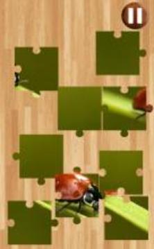 Ladybug Jigsaw Puzzle游戲截圖3