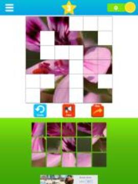 Fit the Pictures - Puzzle game游戲截圖2