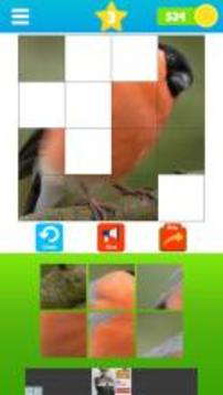 Fit the Pictures - Puzzle game游戲截圖1
