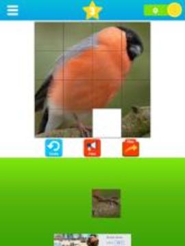 Fit the Pictures - Puzzle game游戲截圖5