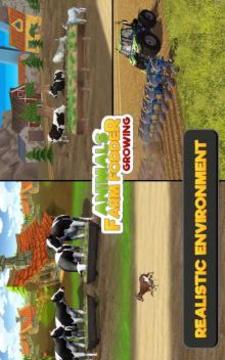 Animal Farm Fodder Growing游戲截圖4