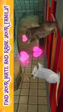 Rat Simulator 3D游戲截圖3