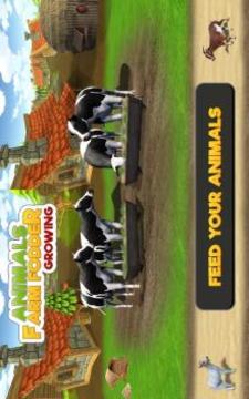 Animal Farm Fodder Growing游戲截圖1