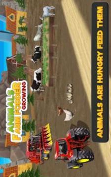Animal Farm Fodder Growing游戲截圖5
